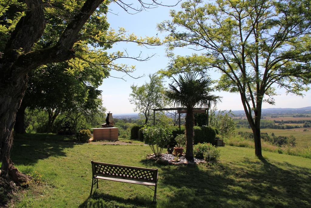 La Pigario Bed & Breakfast Lisle-sur-Tarn Luaran gambar