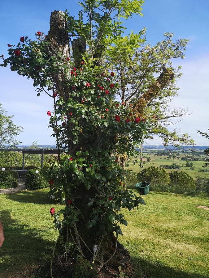 La Pigario Bed & Breakfast Lisle-sur-Tarn Luaran gambar